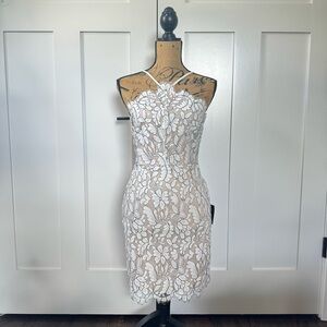 Lulus Delicate Darling Beige and Ivory Lace Bodycon Dress (S) | NWT
